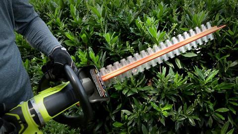 ryobi 22 cordless hedge trimmer