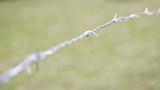 FARMGARD Barbed Wire 1,320 ft 15-1/2-Gauge 4-Point High-Tensile CL3 