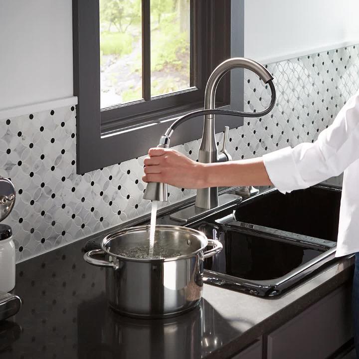Rubicon Single-Handle Pull-Down Sprayer Kitchen Faucet in Vibrant Stainless Rubicon Single-Handle Pull-Down Sprayer Kitchen Faucet in Vibrant Stainless