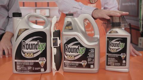 Roundup concentrate clearance