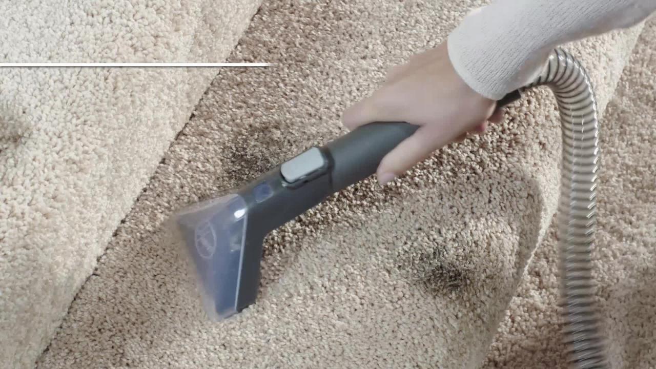 Spotless Portable Carpet Cleaner 