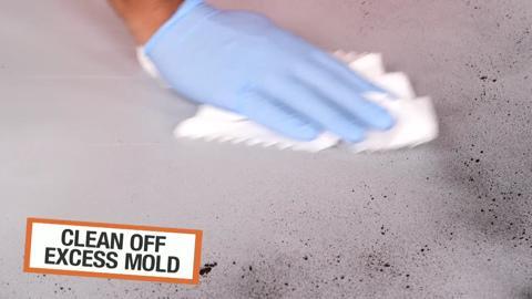 1 gal. Mold Killing Interior/Exterior Primer