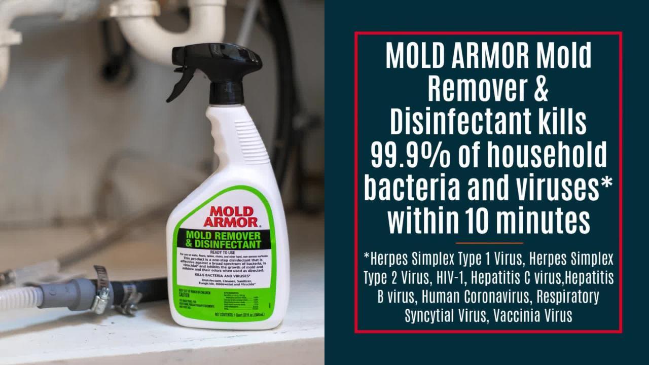 Buy Mold Armor FG550 Mold Remover and Disinfectant, 1 gal, Liquid,  Benzaldehyde Organic, Clear Clear (Pack of 4)