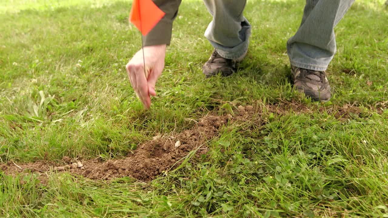 How to Catch and Kill Moles In Your Yard Using the Tomcat® Mole