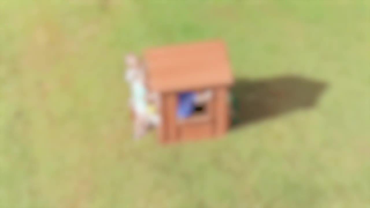 timberlake backyard discovery