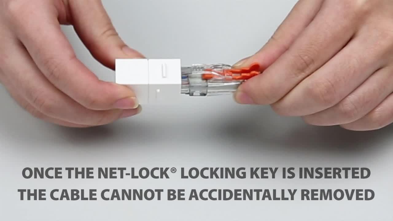 NTW 10 ft. Lockable CAT6 Patented net-Lock Network RJ45 NTW 10 ft. Lockable CAT6 Patented net-Lock Network RJ45