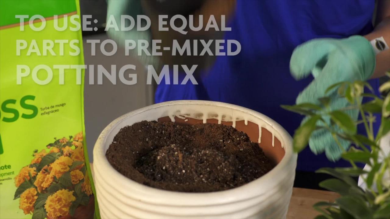 Soil For Moss Terrarium | 2 lbs