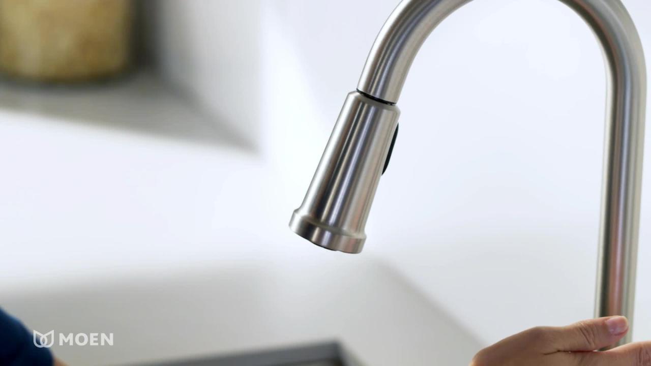 Essie Single-Handle Pull-Down Sprayer Kitchen Faucet with Reflex and Power Clean in Spot Resist Stainless