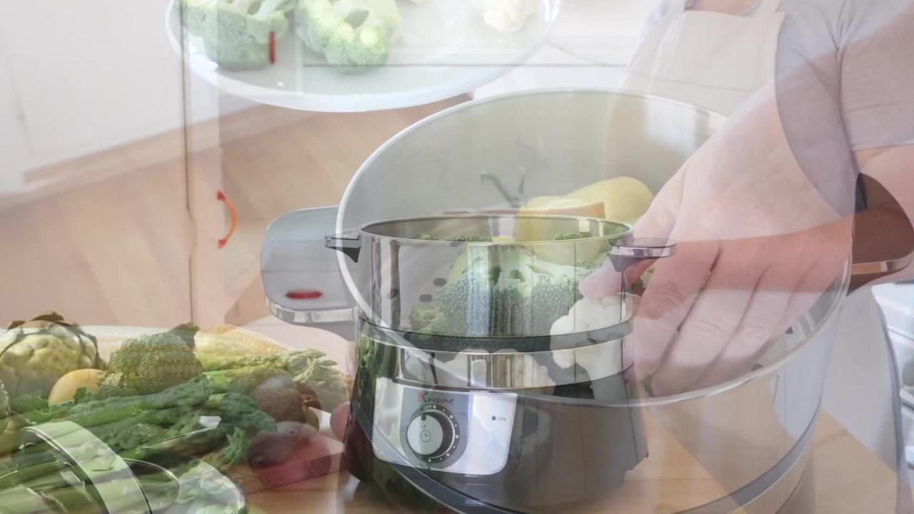 Electric 3.4 Qt. Stainless Steel Food Steamer and Rice Cooker Electric 3.4 Qt. Stainless Steel Food Steamer and Rice Cooker