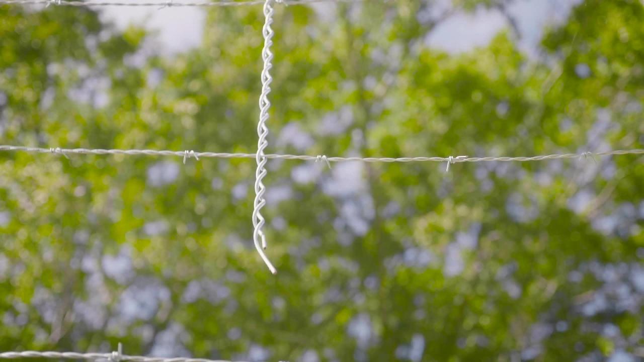 FARMGARD 1/2 in. x 1/2 in. x 2-3/4 ft. 9-1/2-Gauge Chain Link Fence Post Stays