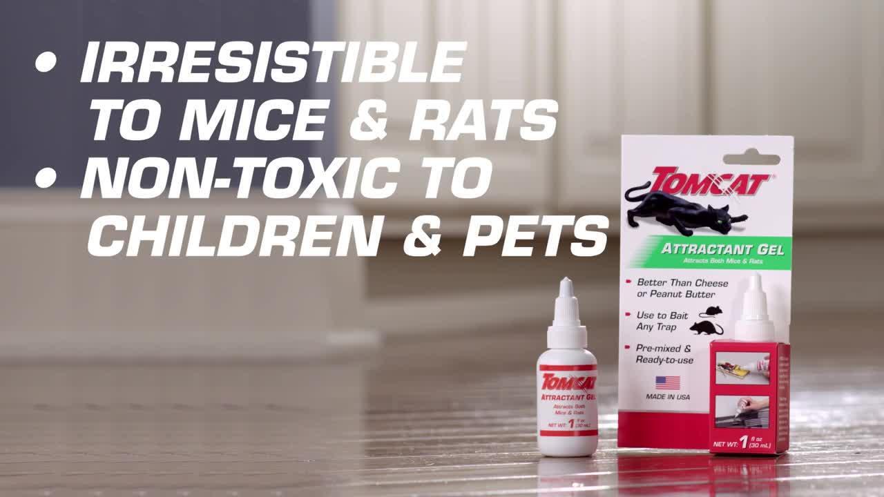 Mouse & Rat Trap Attractant Gel