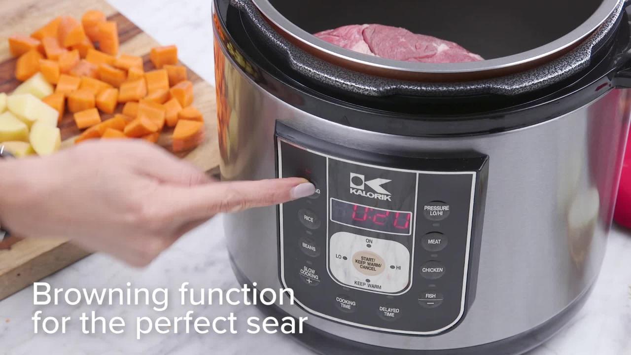 aowa electric multi cooker