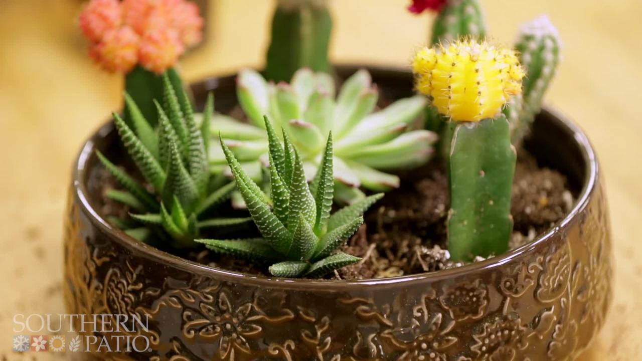 Southern Patio - Havana 6 in. Ceramic Hanging Planter