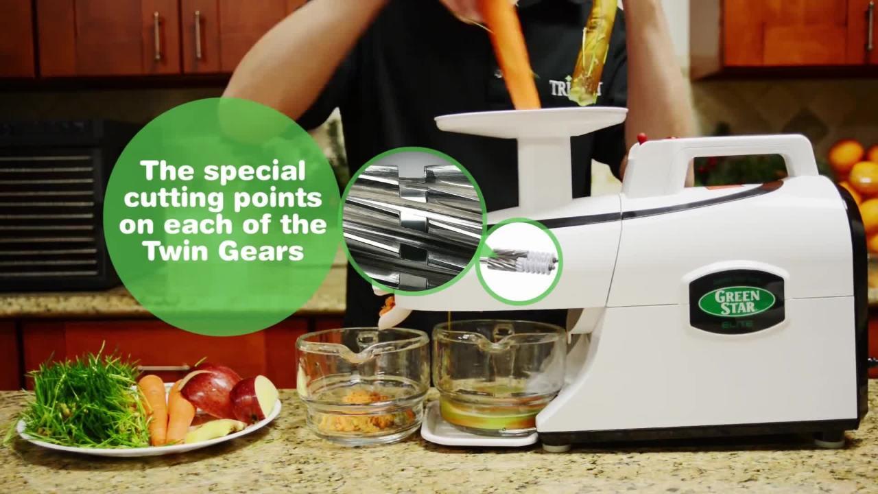 Tribest Greenstar Pro Twin Gear White Slow Masticating Juicer GS-P501-B -  The Home Depot