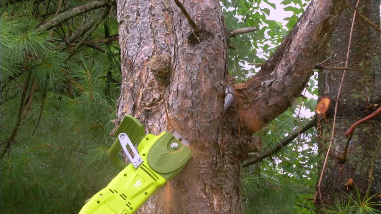 Telescoping Electric Pole Chainsaw，2-in-1 design lets you spend