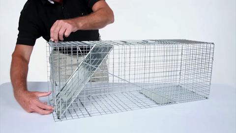Opossums Groundhogs Humane Live Animal Trap Cage for Raccoons Squirrel Cats 