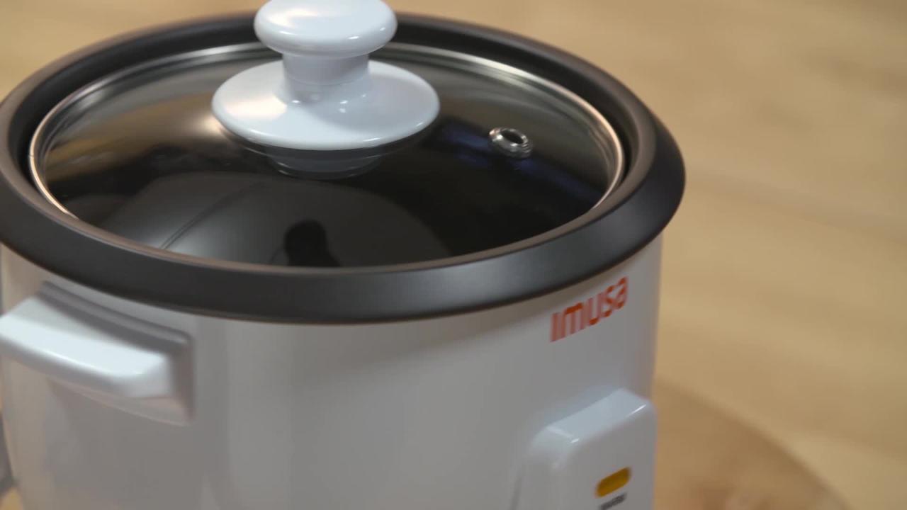 IMUSA IMUSA Electric PTFE Nonstick Rice Cooker 5 Cup 400 Watts, Black -  IMUSA