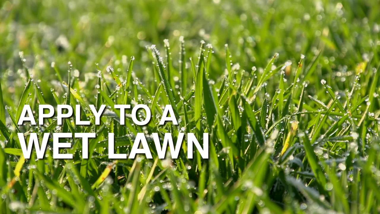 Scotts Turf Builder 50 2 Lb 10 000 Sq Ft Triple Action Lawn Fertilizer 26002 1 The Home Depot