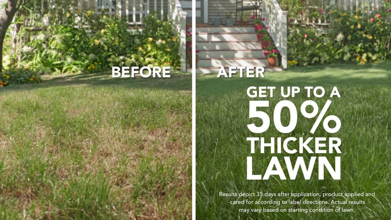 Image of Before and after photo of lawn treated with Scotts Turf Builder Thick R Lawn fertilizer on Pinterest