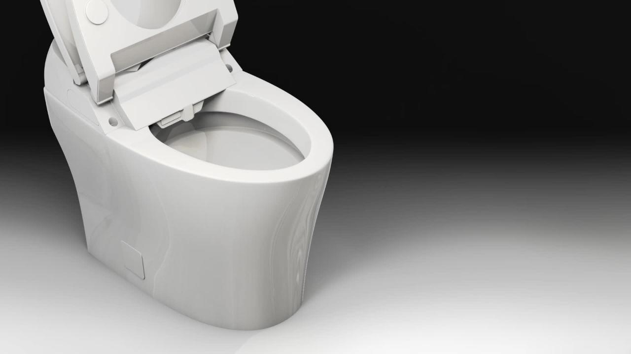 Muse iWash 1-Piece 1.28 GPF Single Flush Elongated Toilet and Bidet in  White, Seat Included