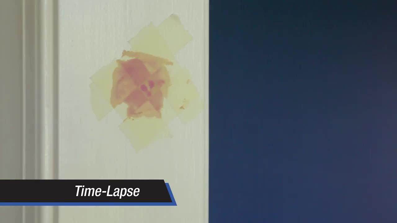 DAP Plastic Wood 6-Color Wood Finish Repair Kit - Gillman Home Center