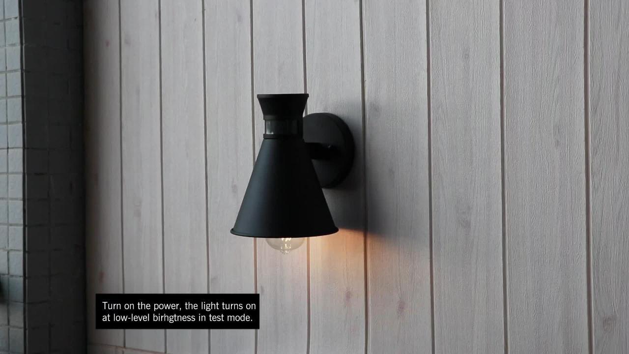 C Cattleya 1-Light Black Motion Sensing Dusk to Dawn Outdoor Wall