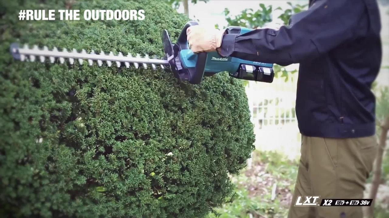 LXT 18V X2 36V Lithium Ion Cordless Hedge Trimmer Tool Only