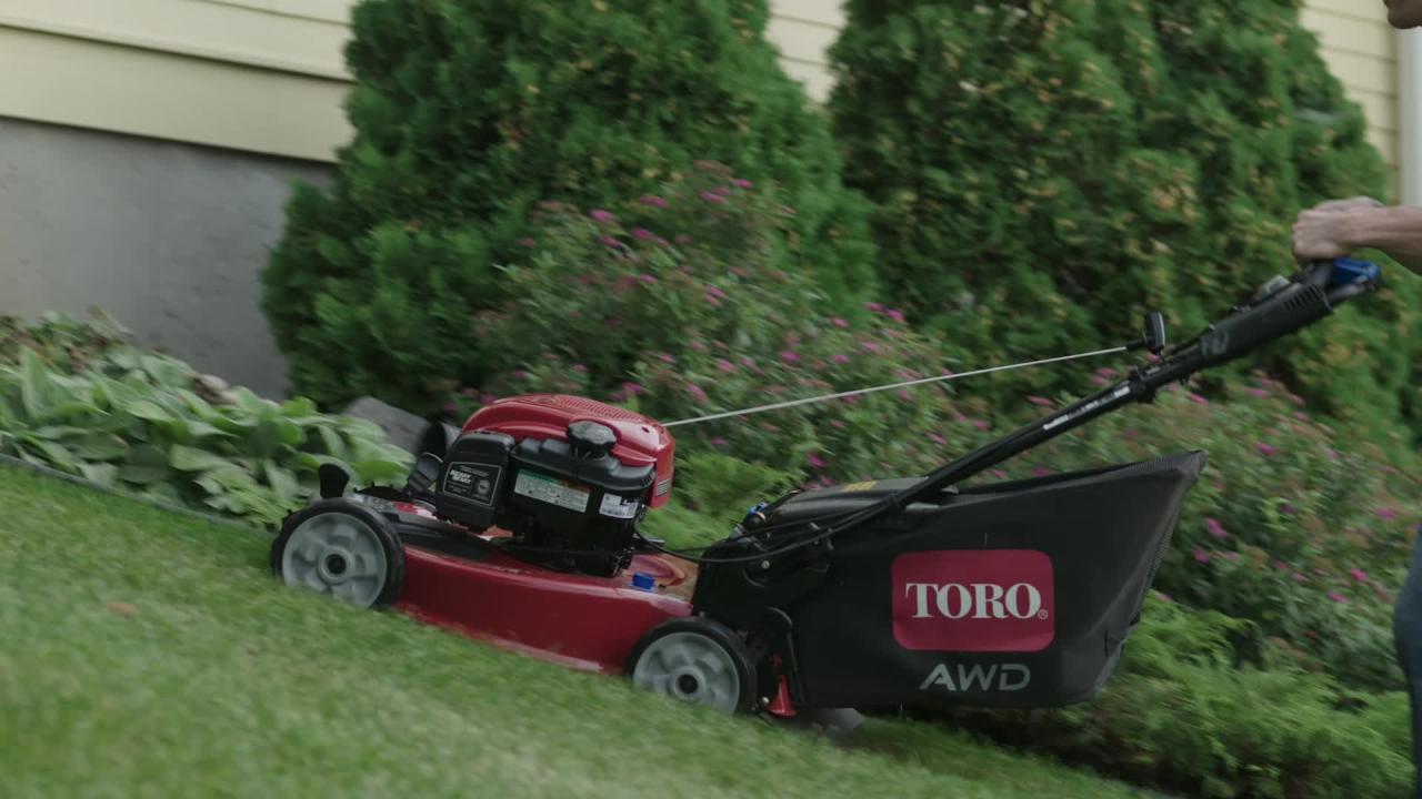 Toro Recycler 22 in. SmartStow High Wheel Variable Speed Walk Behind Gas Self Propelled Mower