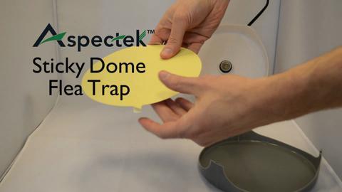 Flea Trap,Sticky Dome Bed Bug Trap,Indoor Pest Control Trapper Insect  Killer with 2 Glue Discs and Light Bulbs for Bugs Fleas,Flea Infestion  Natural