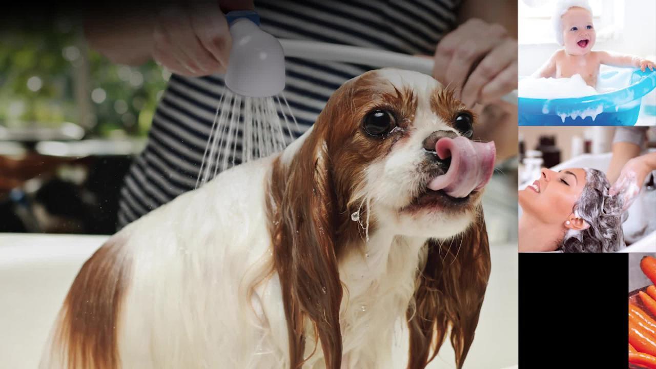 DANCO - Easy Spray Quick Connect Faucet Spray and Rinser