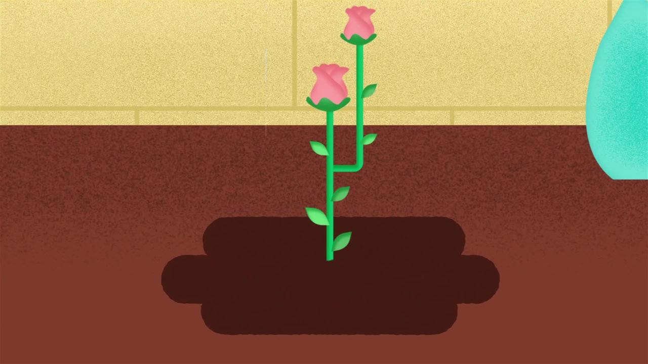 Miracle Gro Moisture Control 1 5 Cu Ft Garden Soil For Roses The Home Depot Miracle Gro Moisture Control 1 5 Cu Ft Garden Soil For Roses The Home Depot