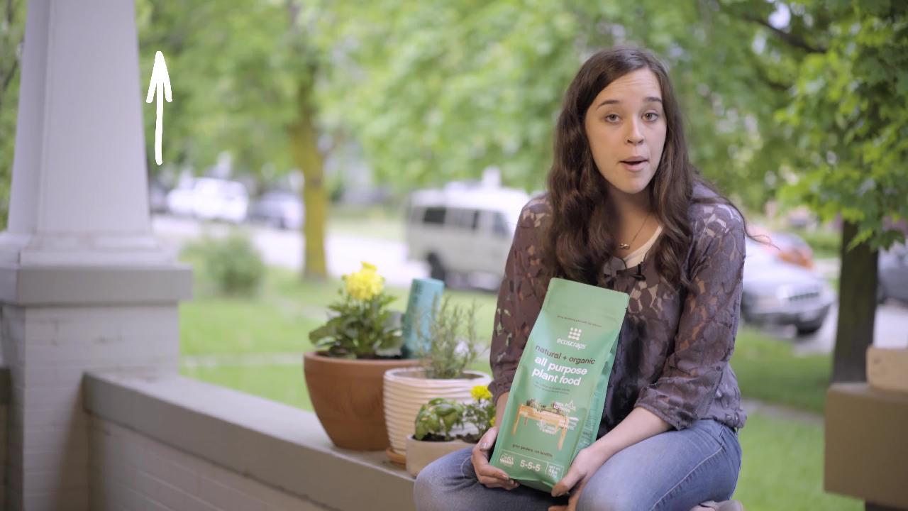 EcoScraps 4 lbs. Organic All Purpose Plant Food PFAP174404 - The