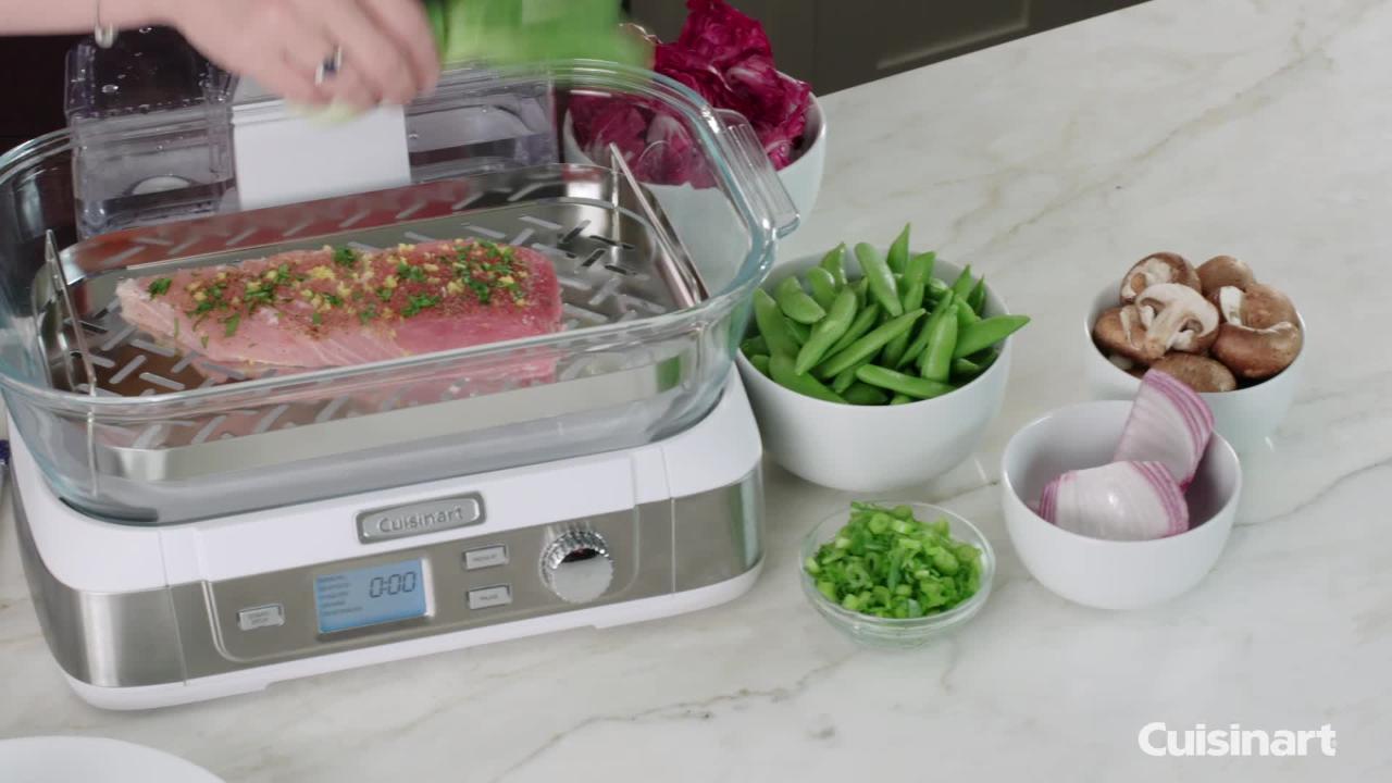 cuisinart electric steamer