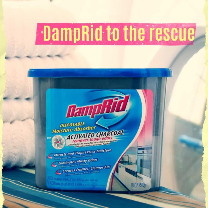 DampRid Refillable Moisture Absorber, 10.5 oz. Cups, 4 Pack, Fragrance Free, Traps Moisture for Fresher, Cleaner Air, No Electricity Required, Lasts