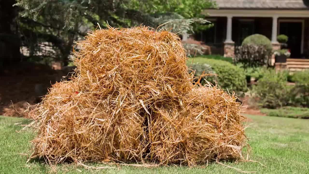 Baled Wheat Straw The Home Depot
