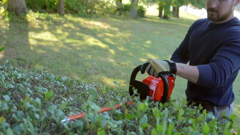 echo battery powered hedge trimmer