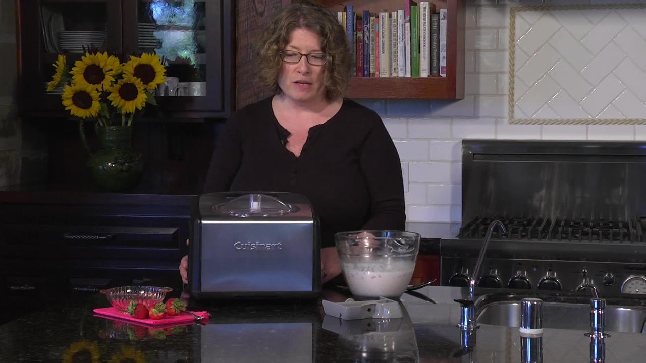 Cuisinart ice cream and gelato online maker