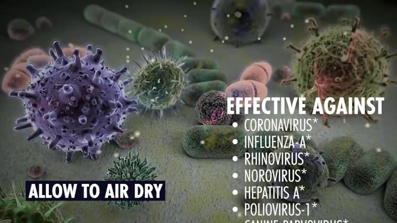 parvo home treatment kit