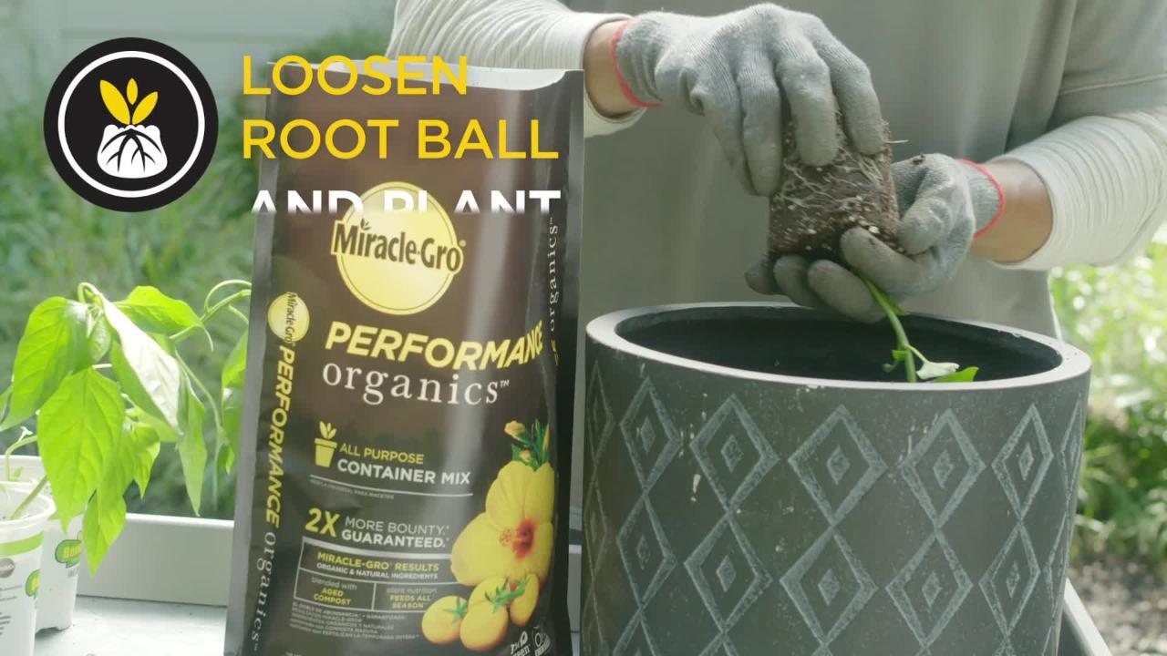 Miracle-Gro 6 qt. Performance Organics All Purpose Potting