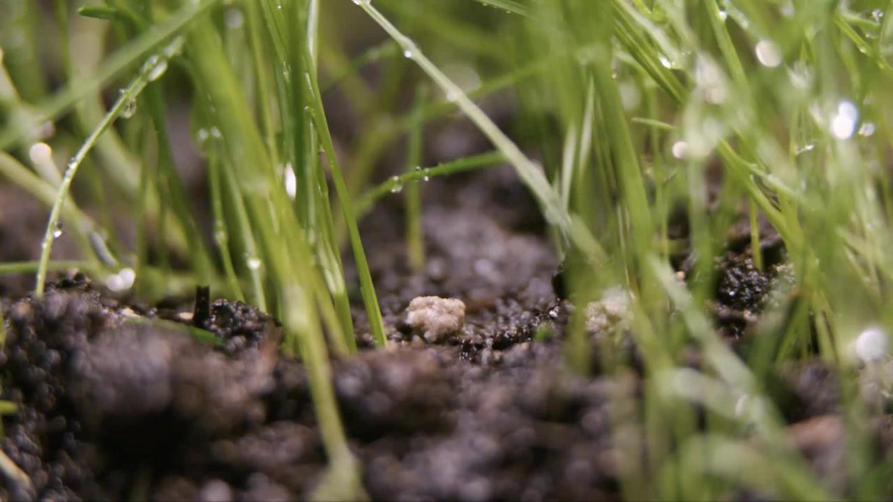 Reviews for Oldcastle 30 lbs. Soil Doctor Zip Lime Turf | Pg 1