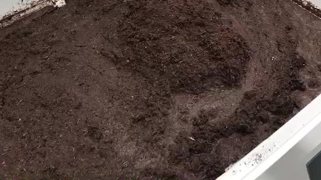 Viagrow 11 lb. Coconut Coir Block Soilless Grow Media (222 - 11 lbs. brick pallet) Viagrow 11 lb. Coconut Coir Block Soilless Grow Media (222 - 11 lbs. brick pallet)