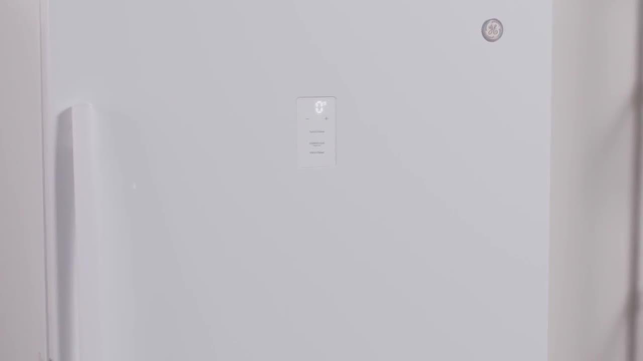 Garage Ready 14.1 cu. ft. Frost Free Defrost Upright Freezer in White