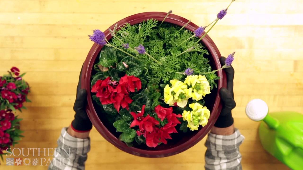 Vigoro Giselle Large Chalk Resin Composite Planter with Drainage