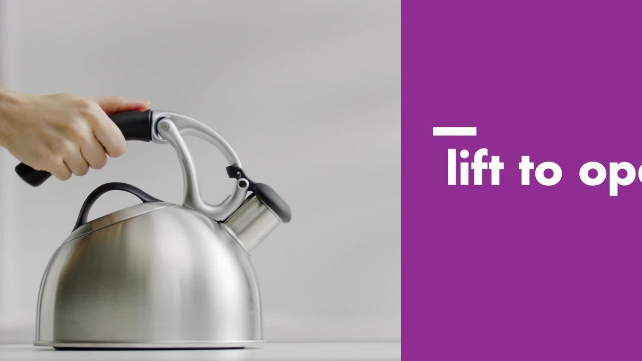 Brushed Stainless Steel OXO BREW Anniversary Edition Uplift Tea Kettle 