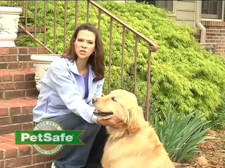 PetSafe 1/2-Acre Wireless Pet Containment System IF-300 - The Home