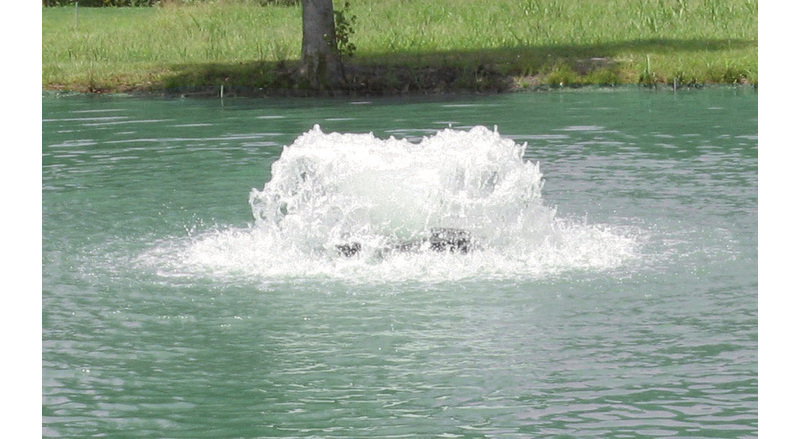 thumbnail 1 of 6