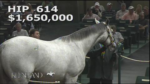 Pope buys Tapit colt for $2.1 million