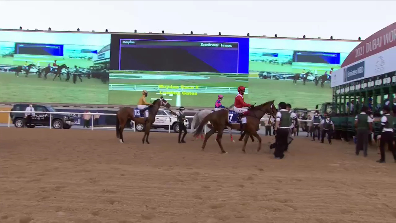 Rebel's Romance Impressive in UAE Derby Win - BloodHorse