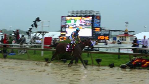 American Pharoah Wins Preakness In Downpour - CBS Baltimore