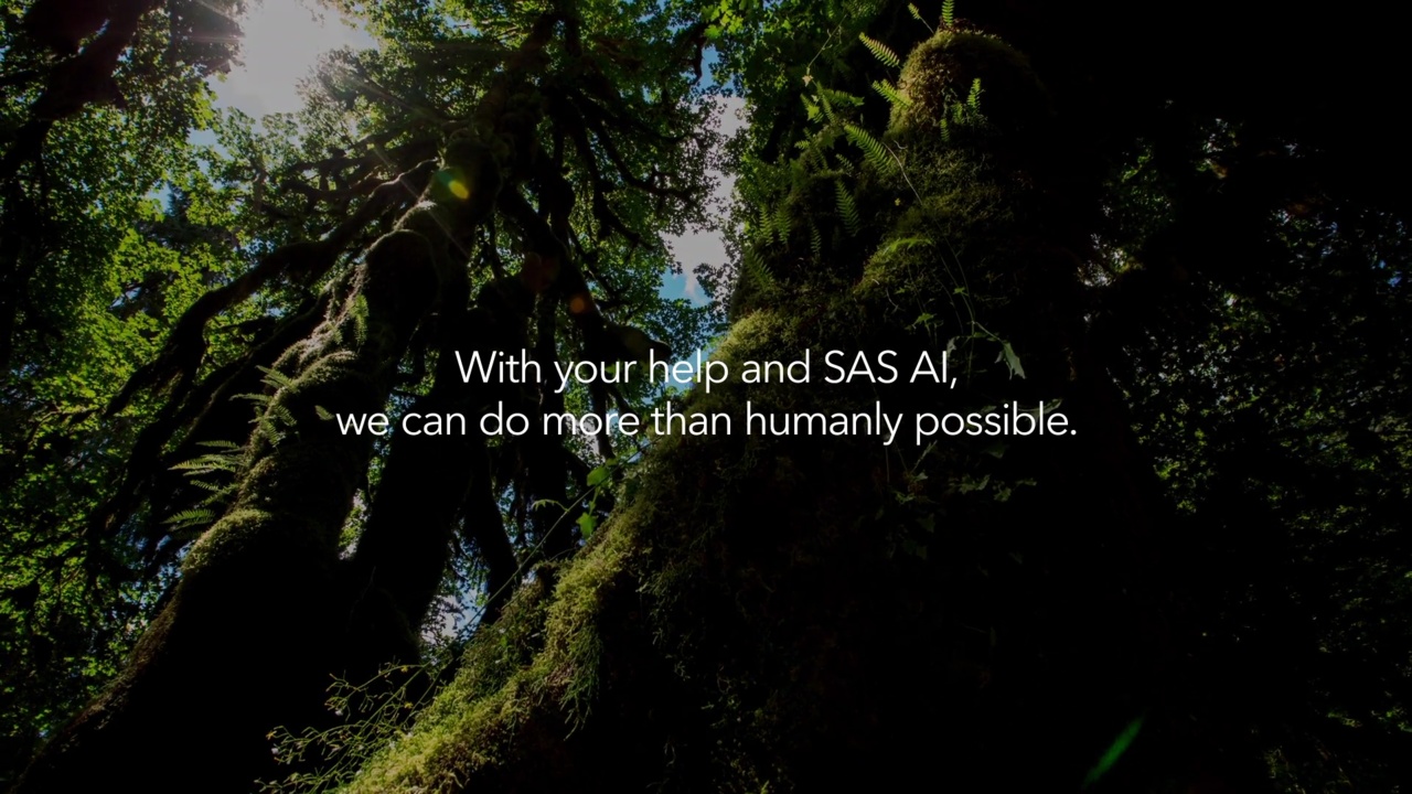Sas Aiを活用した革新的な森林破壊検出アプリが高い評価を受ける Sas